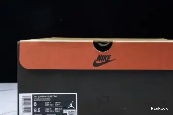 “Blueberry” CT8013-140 12 Jordan Air 0506